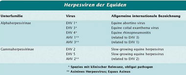 Klassifikation des equinen Herpesvirus