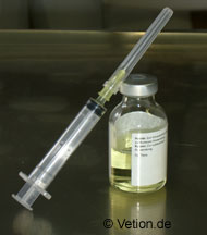 Regelmäßige Impfungen sind für eine erfolgreiche BVD/MD wesentlich