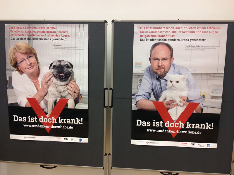 Plange und Gruber, 300 dieser Plakate hängen seit
dem 1. November in Berlin.