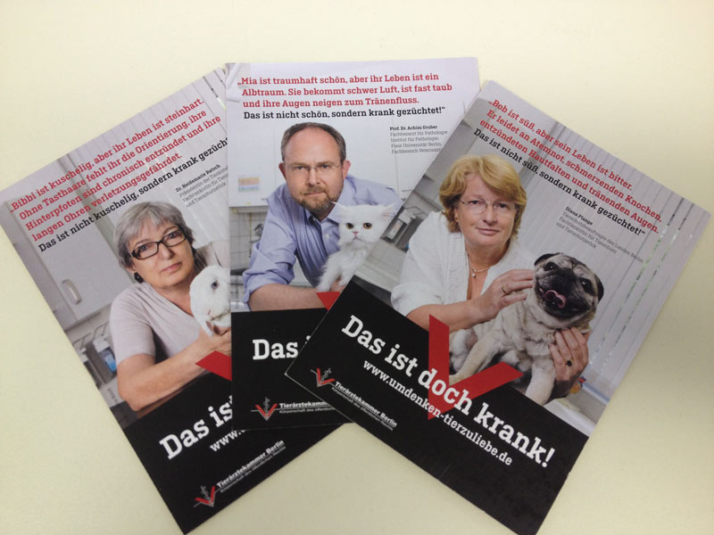 Die drei Plakate gibt es auch als Flyer.