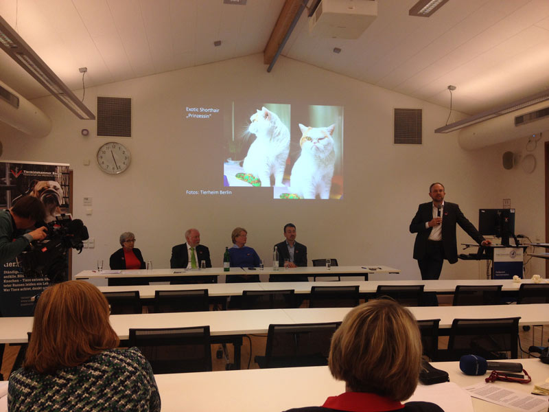Gruber spricht zu kurzköpfigen Katzen mit
Gesundheitsschäden aufgrund von Zucht, mittig das
Podium der PK, links der rbb.