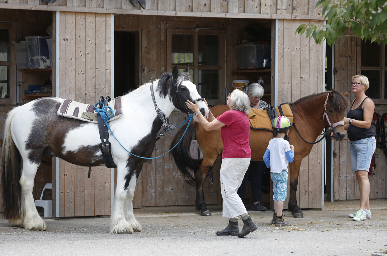 Die Tiergestützte Therapie mit Pferden hilft den Kindern, wieder Vertrauen zu fassen.