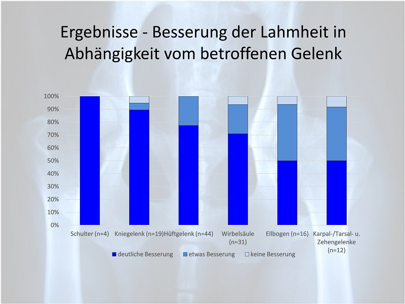 Hohe Wirksamkeit von Zeel� bei 94,4 Prozent der Hunde